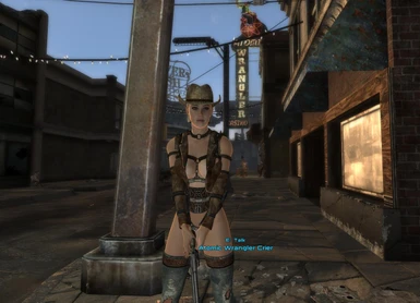 Atomic Wrangler Crier at Fallout New Vegas - mods and community