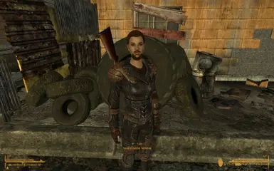 The Bearded Lady at Fallout New Vegas - mods and community