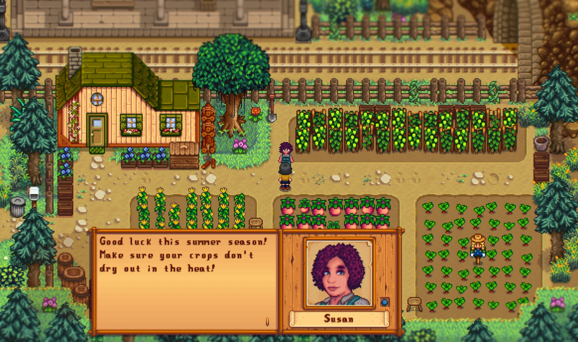 Stardew Valley Expanded - Susan