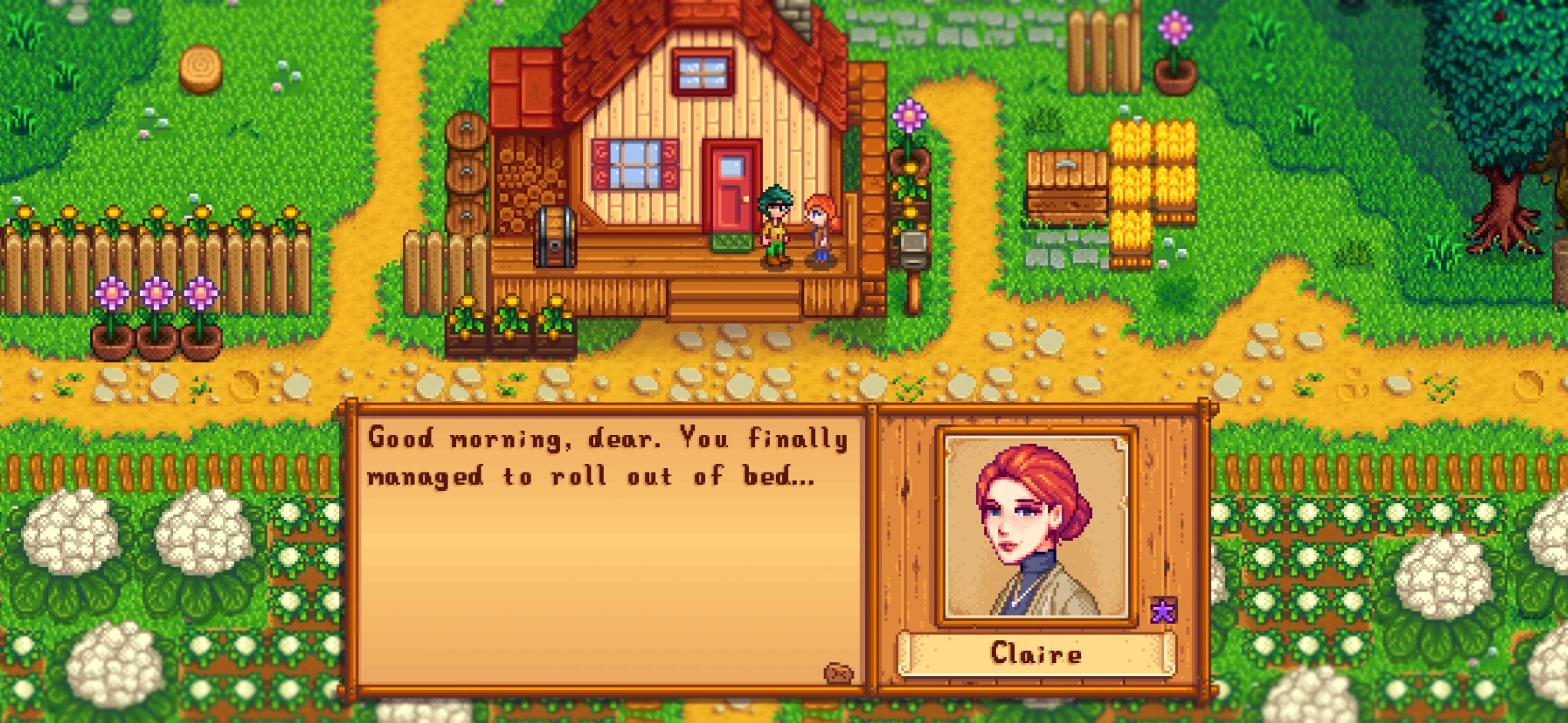 Stardew Valley Expanded - Claire.