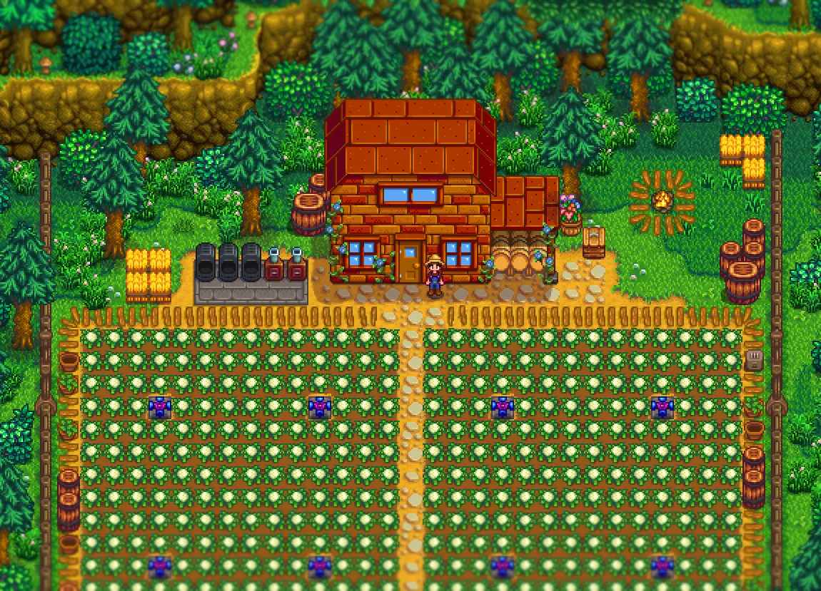 Aurora vineyard stardew