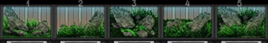 Choose fav Aquascape Rock option 1 2 3 4 5 - CP next update -