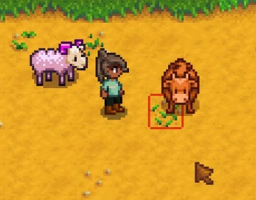 Meet Chili Sauce the pink ram- A Forrest Family preview