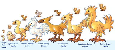 Chocobo Valley mod preview