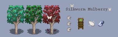 Silkworm Mulberry