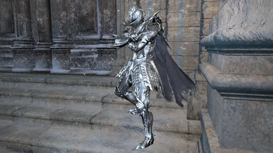 Sir Vilhelm in new shiny armor