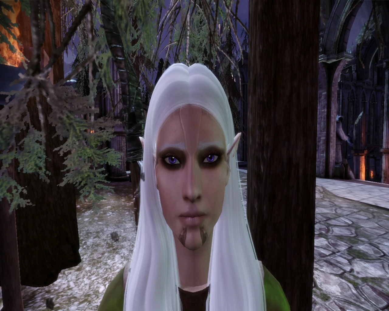 Neria At Dragon Age Origins Mods And Community