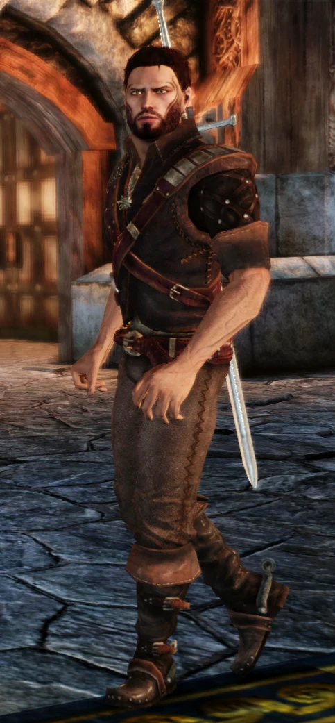Witchers Leather Teaser at Dragon Age: Origins - mods and community