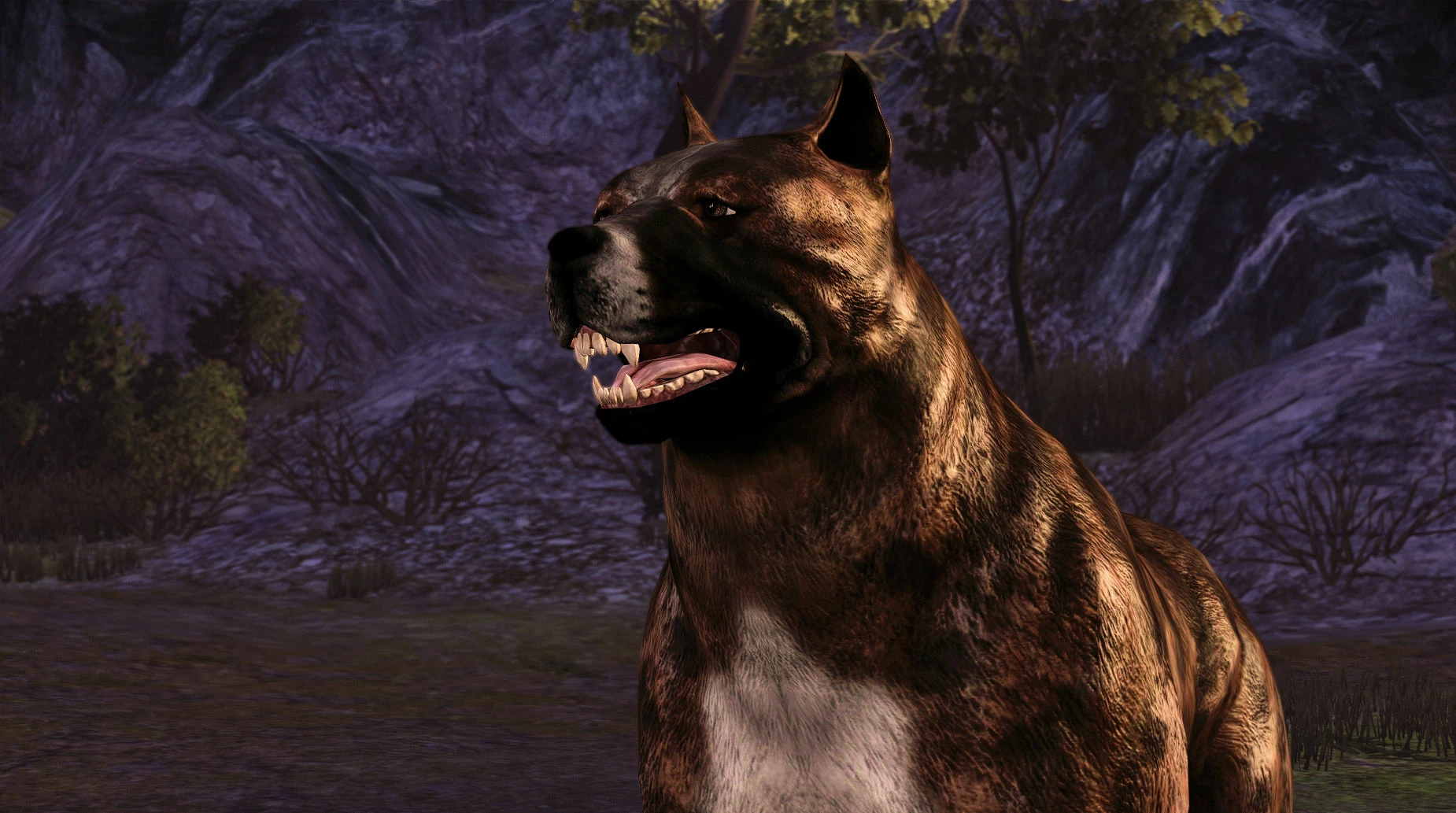 Dog At Dragon Age Origins Mods And Community dog-at-dragon-age-origins-mods-and-community