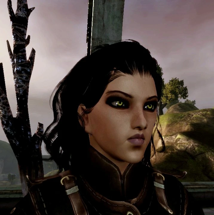 dragon age origins morrigan mod