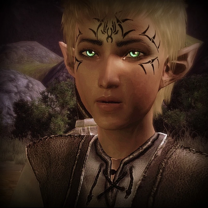 elf dragon age origins