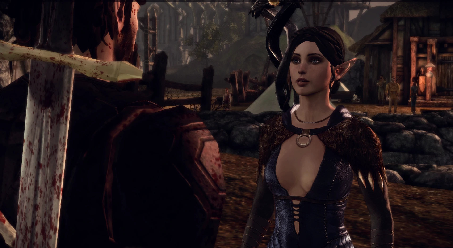 Dragon Age: Origins  With 'Elder Scrolls V: Skyrim' on shelves