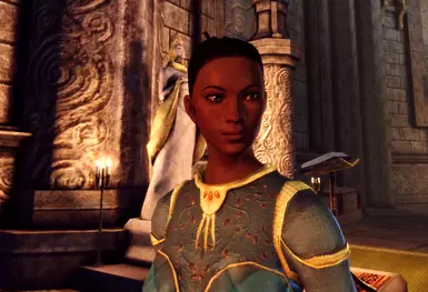 dragon age origins нексус мод
