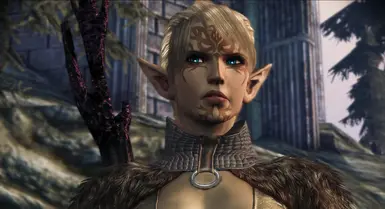 Velanna disapprove at Dragon Age: Origins - mods and community