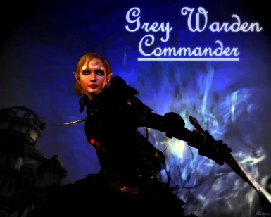 Grey Warden Commander