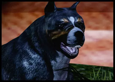 dragon age origins нексус мод