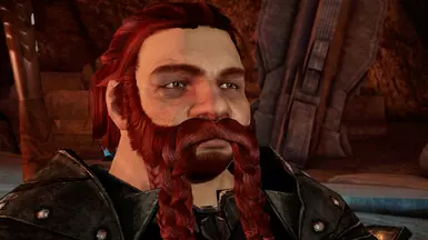 dragon age origins нексус мод