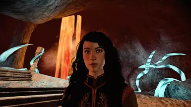 dragon age origins нексус мод