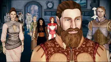 dragon age origins нексус мод
