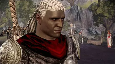 dragon age origins нексус мод