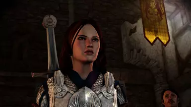 dragon age origins нексус мод