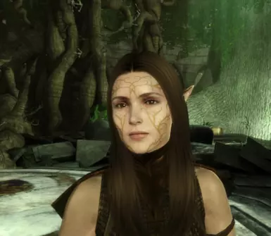 dragon age origins нексус мод