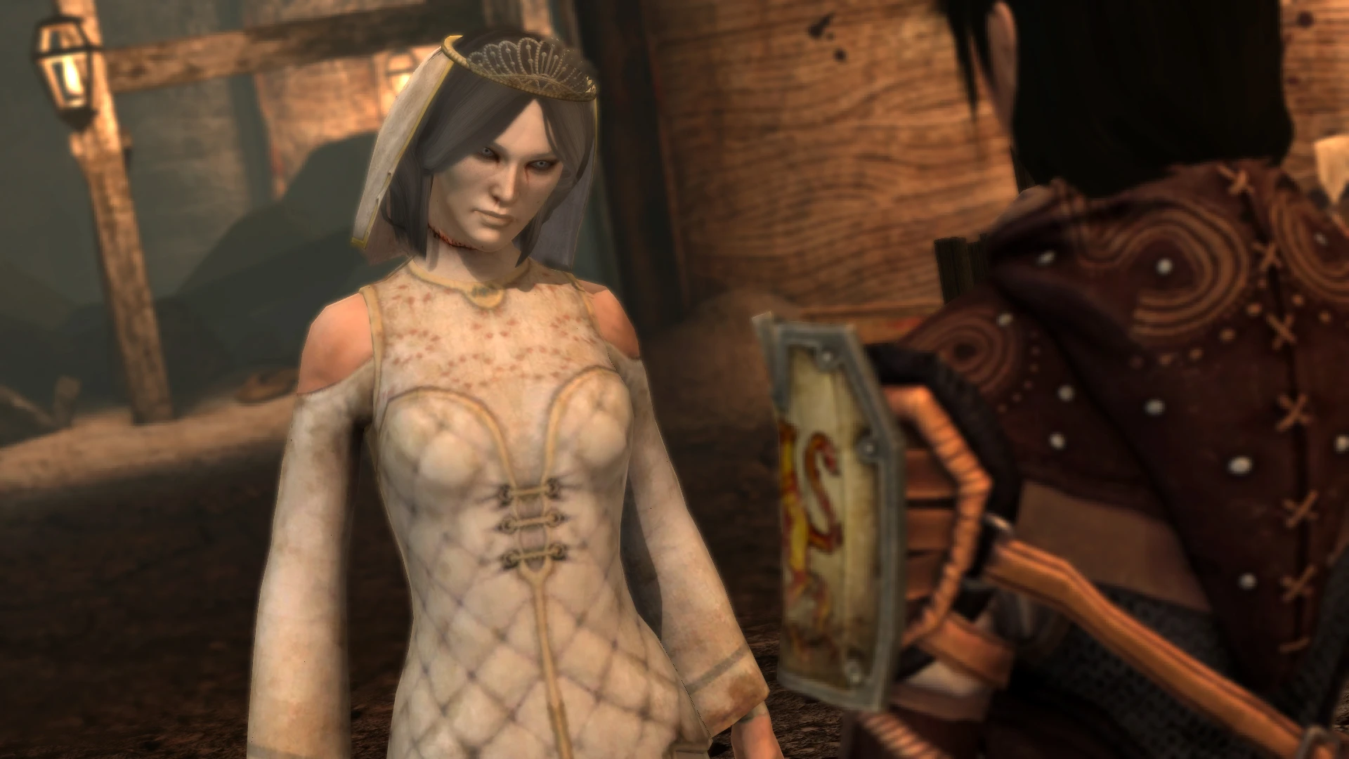 heroes of dragon age mod heroes of dragon age mod