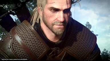 Geralt - TW 3