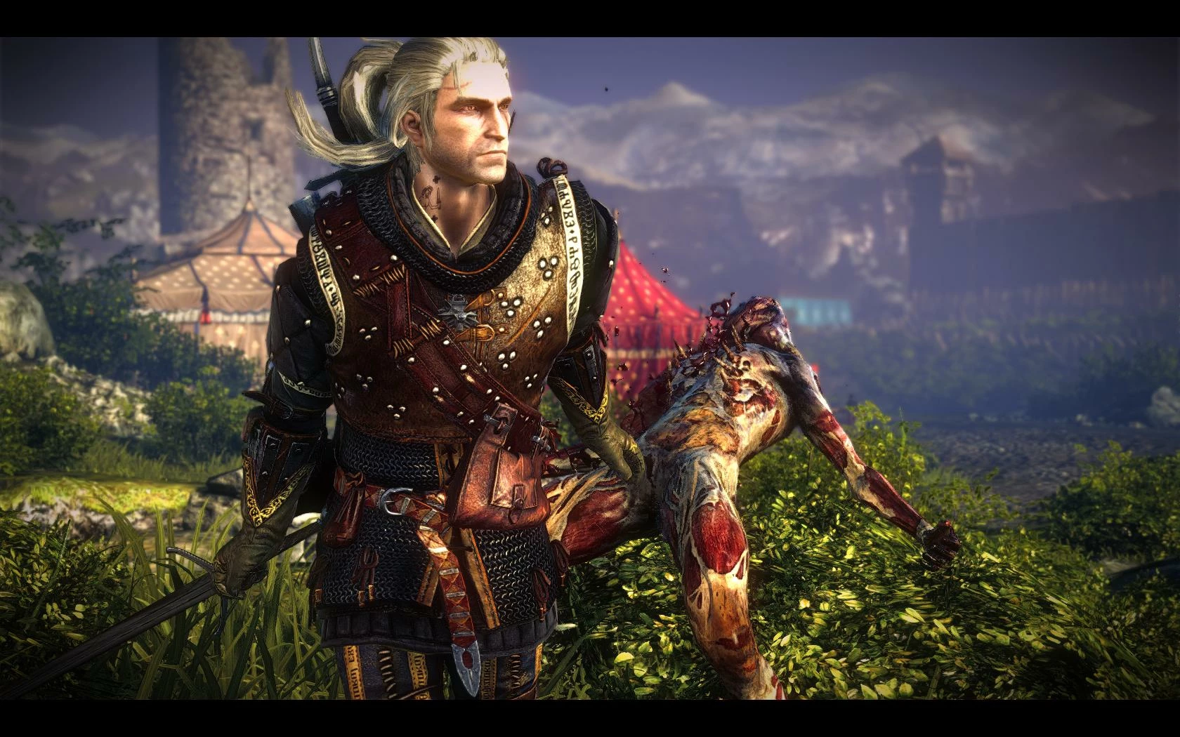 the witcher 2 mods the witcher 2 mods