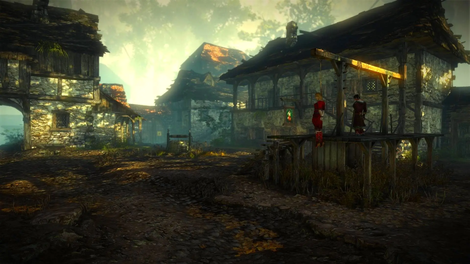 the witcher 2 nexus mods