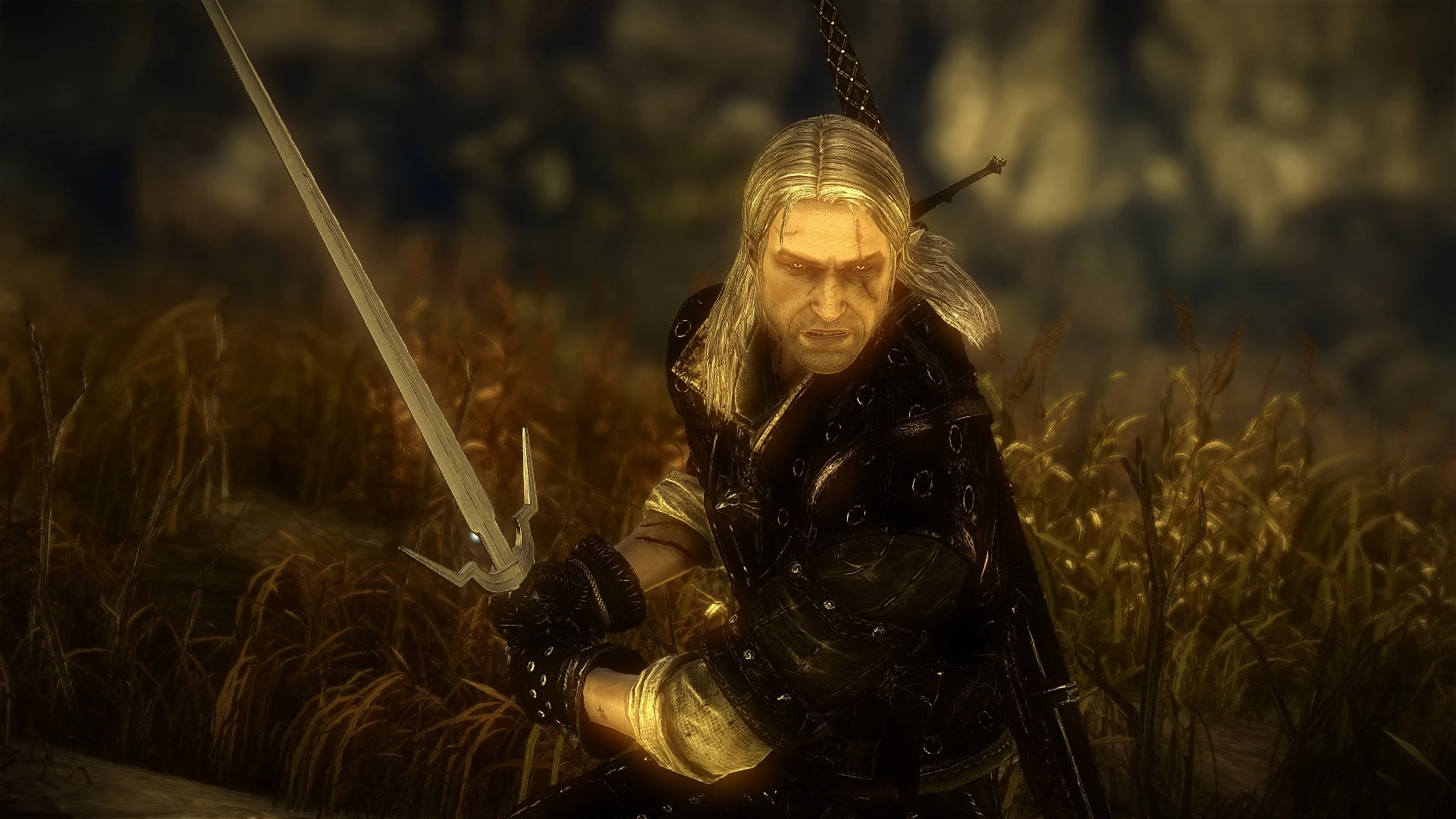 the witcher 2 nexus