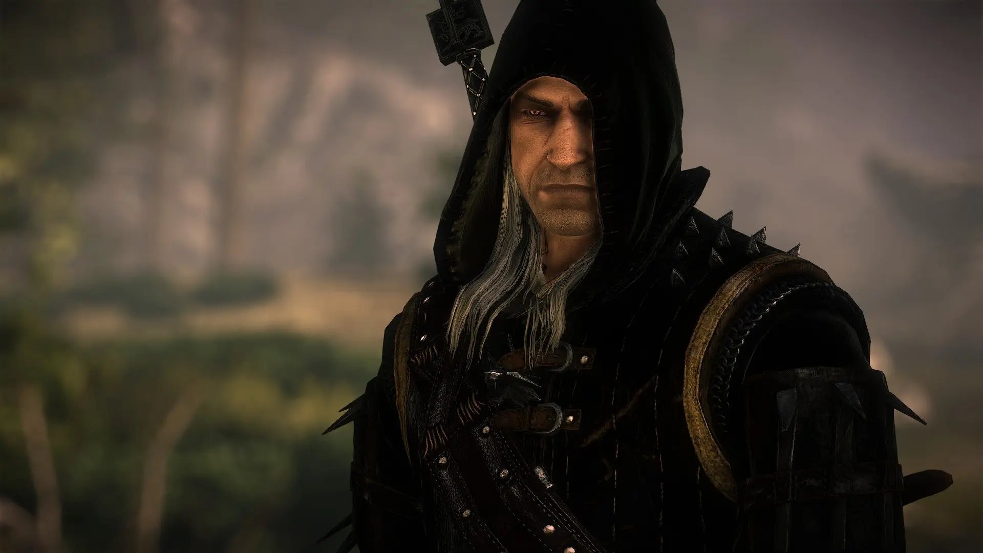 The witcher 3 geralt cloak фото 39