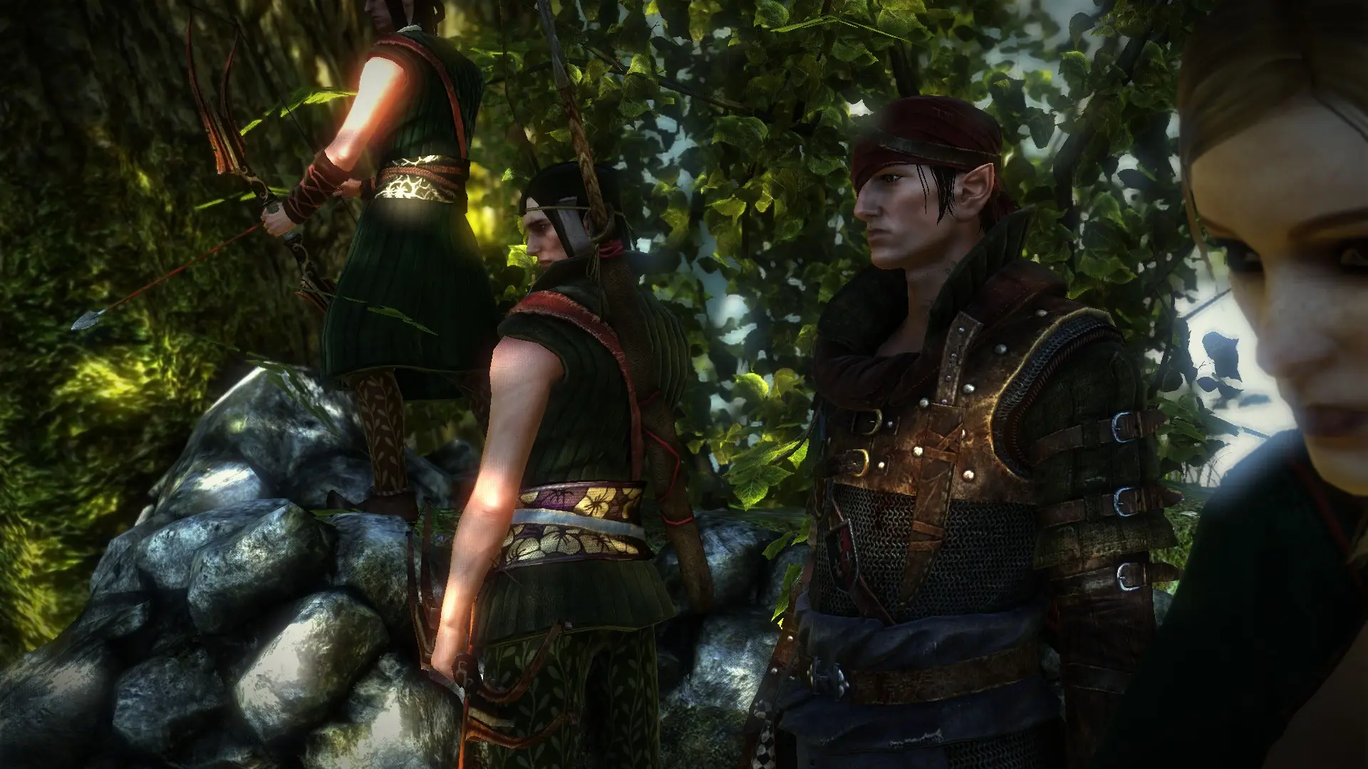 Images at The Witcher 2 Nexus - mods and community