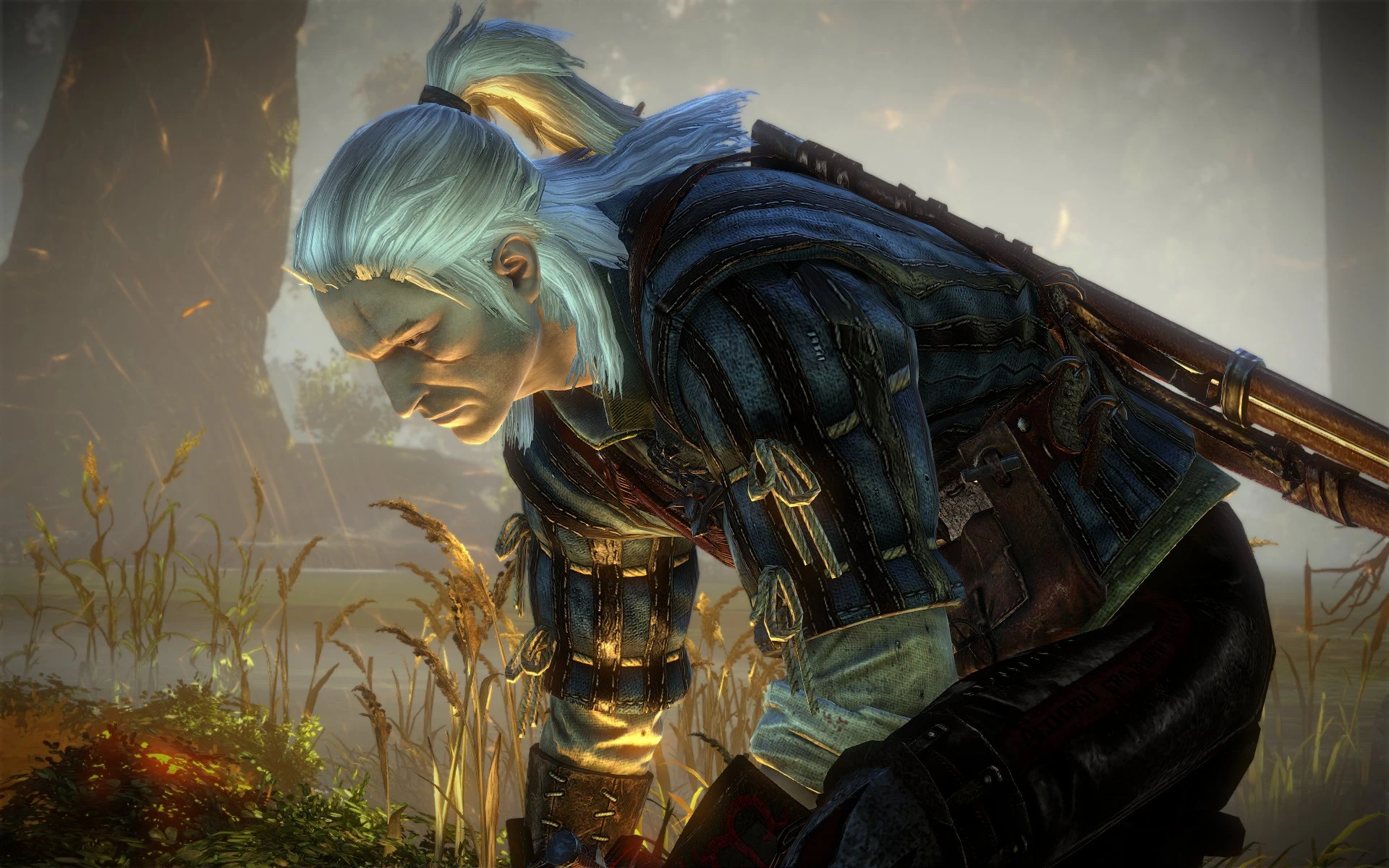 Images at The Witcher 2 Nexus - mods and community