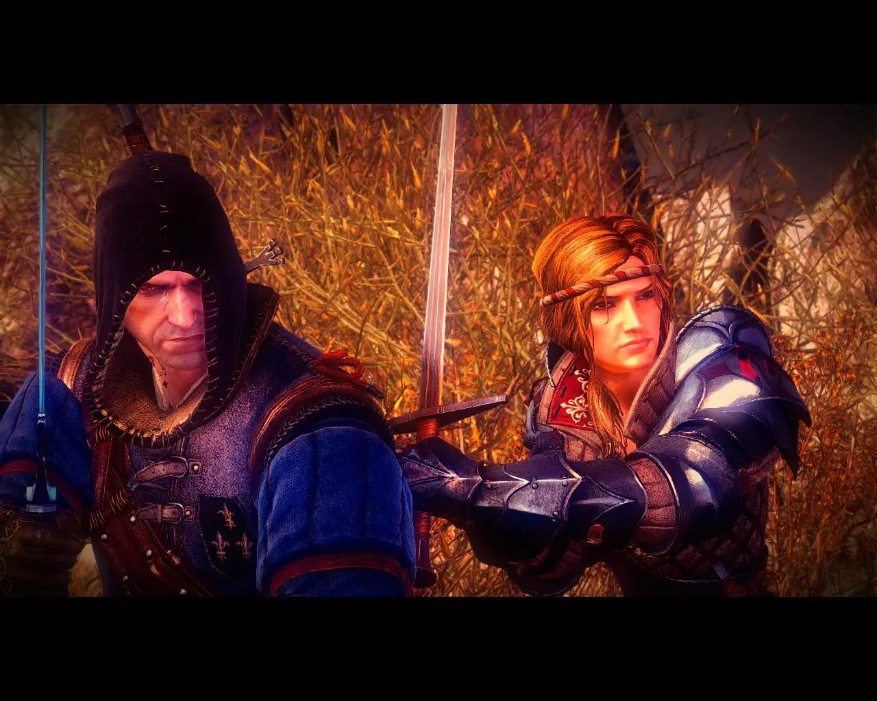 nexus mods the witcher 2