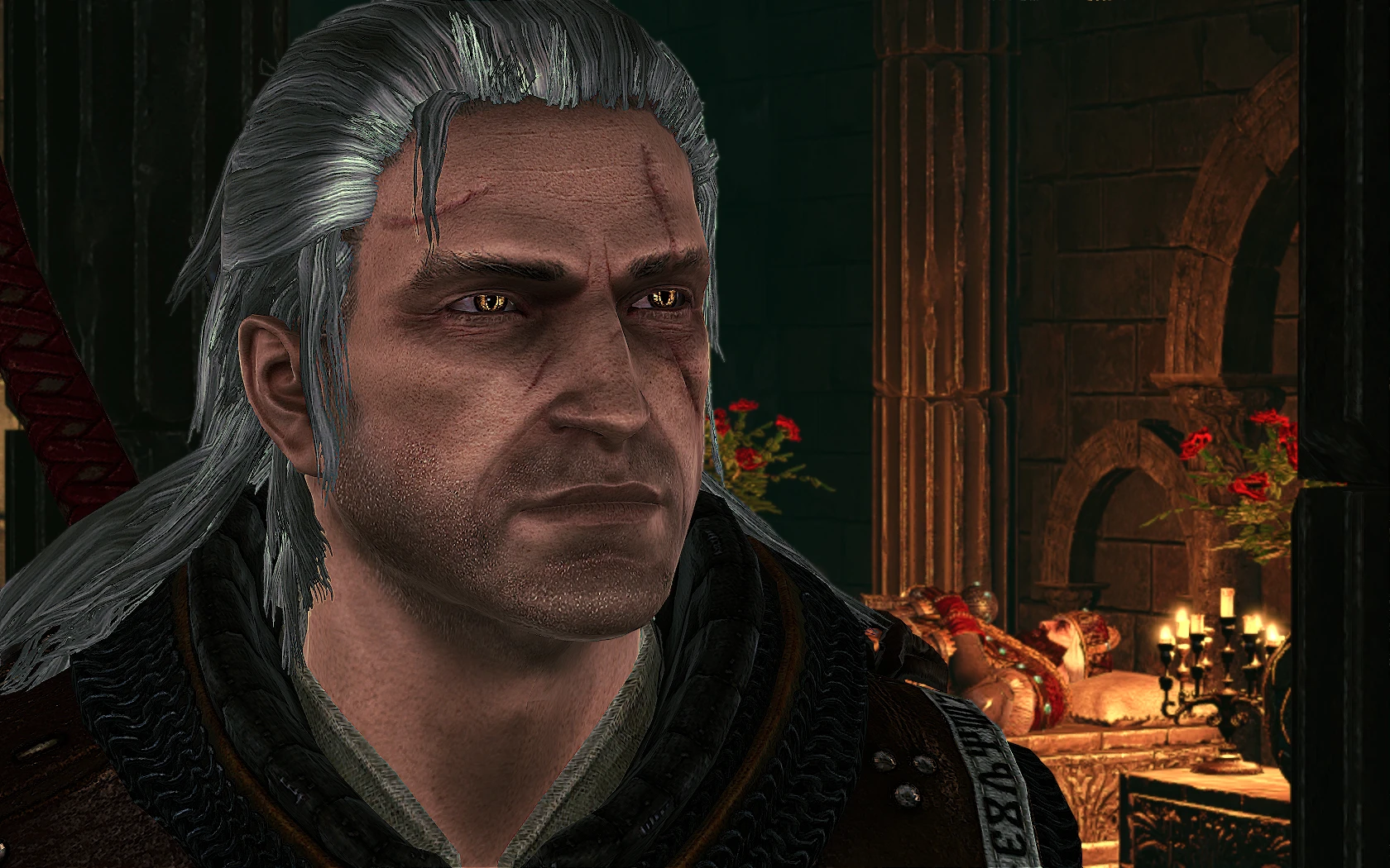 Images at The Witcher 2 Nexus - mods and community