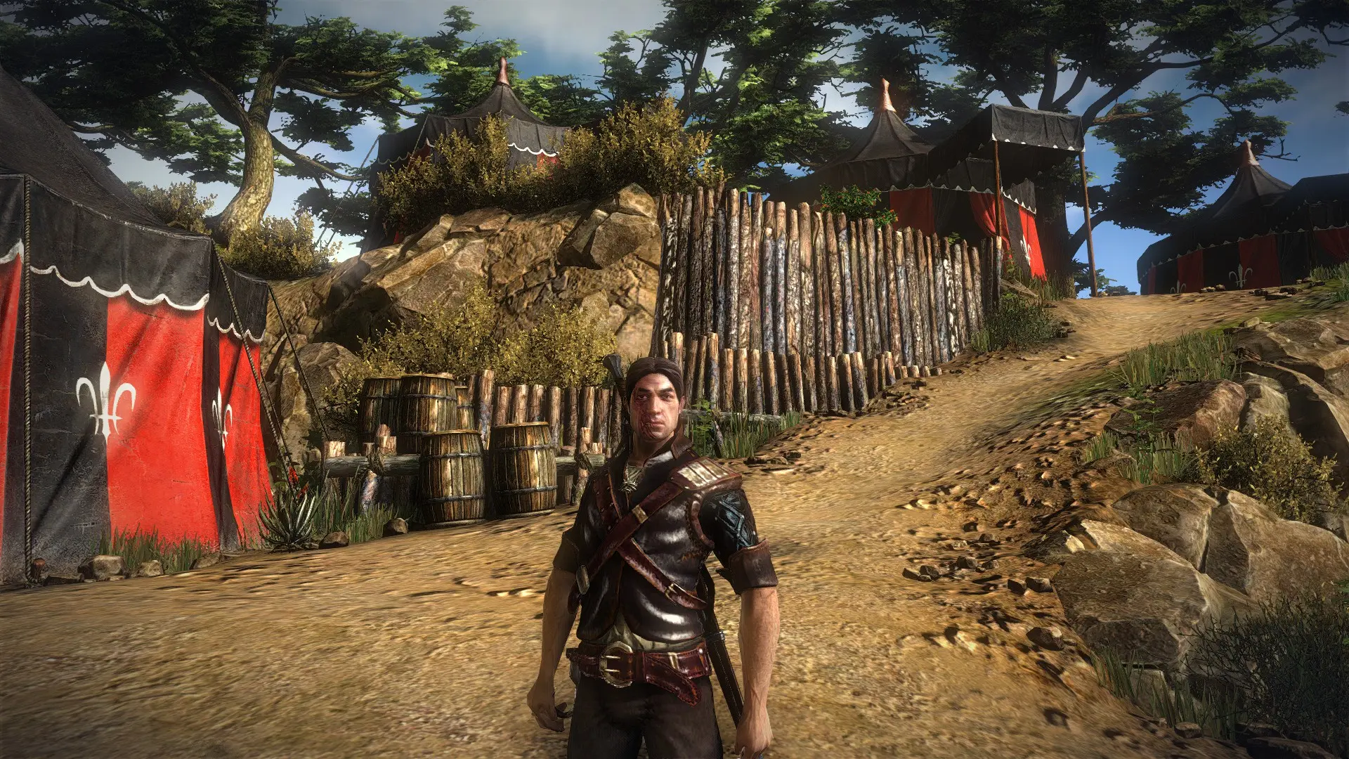 The Witcher 2 Nexus - mods and community