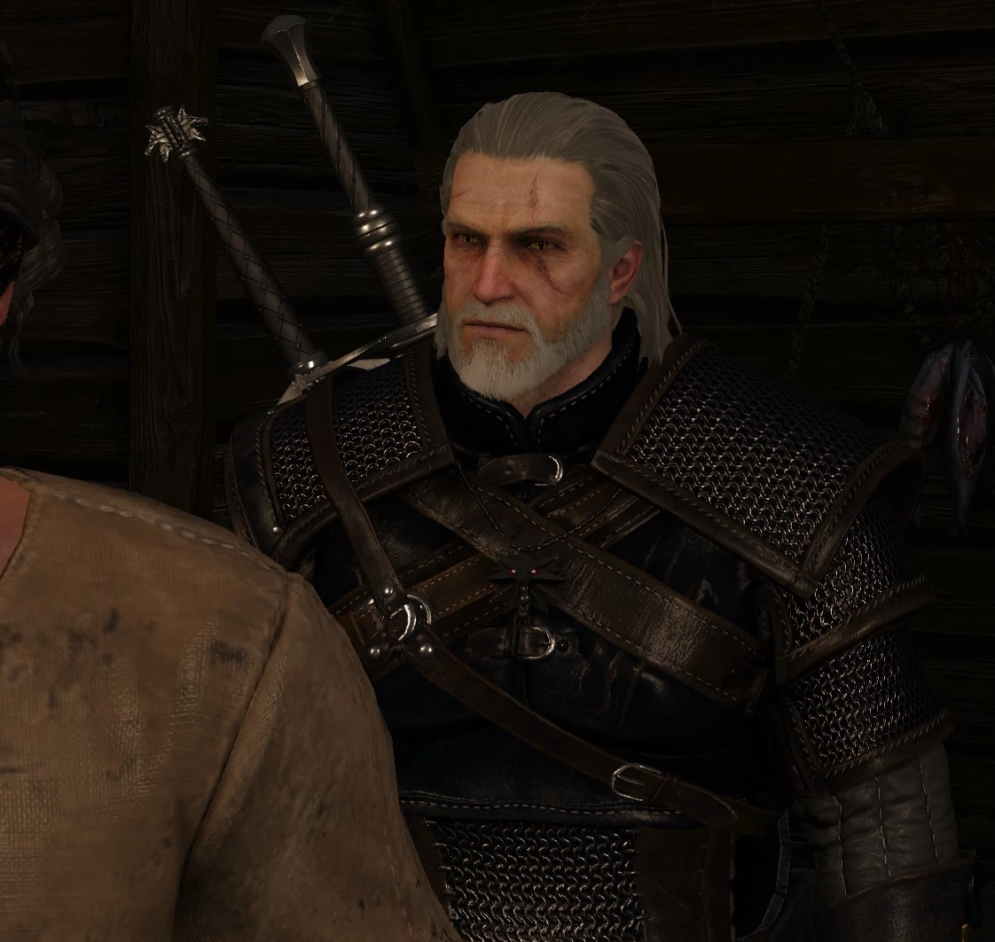 witcher 2 mods steam