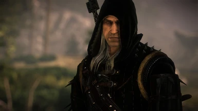 Kingslayer Geralt