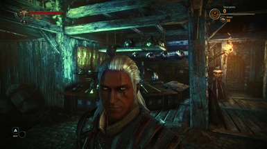 Redgaurd Geralt
