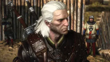 Geralt's Improved Quality of Life at The Witcher 2 Nexus - mods and  community