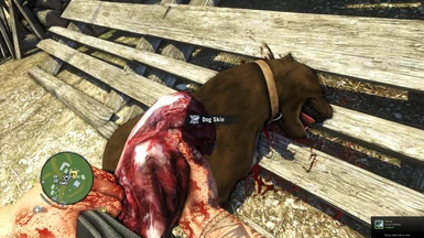 Hunting in self-defence - Skinning a dog - Far Cry 3 -PC -maxed out -1st pic