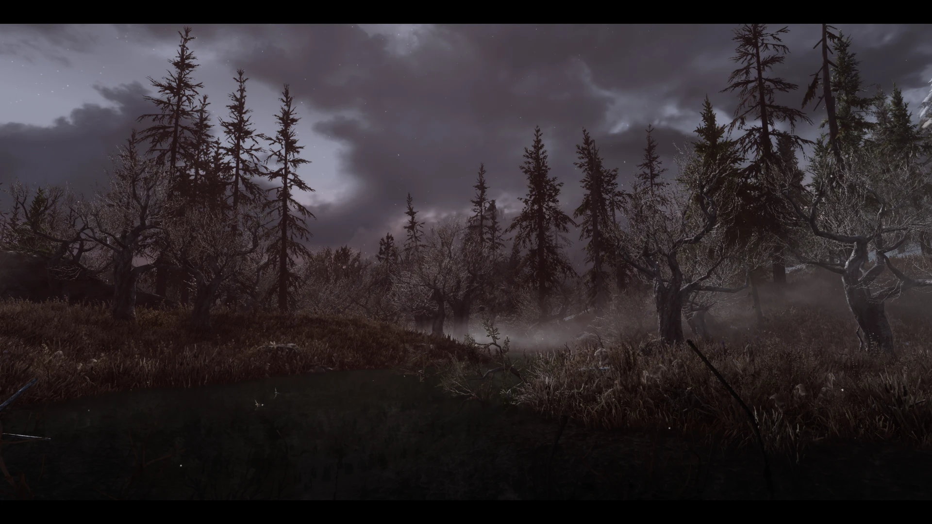 The marsh at Skyrim Special Edition Nexus - Mods and Community