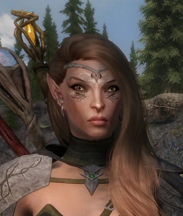 Altmer Mage at Skyrim Special Edition Nexus - Mods and Community