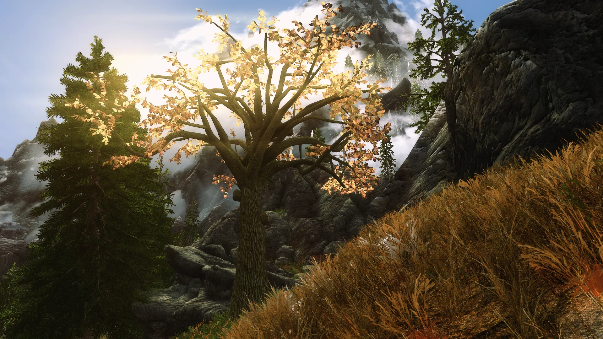 Trees skyrim mod. Скайрим se 3d деревья параллакс. Скайрим 3. Дерево из Скайрима. Скайрим дерево.