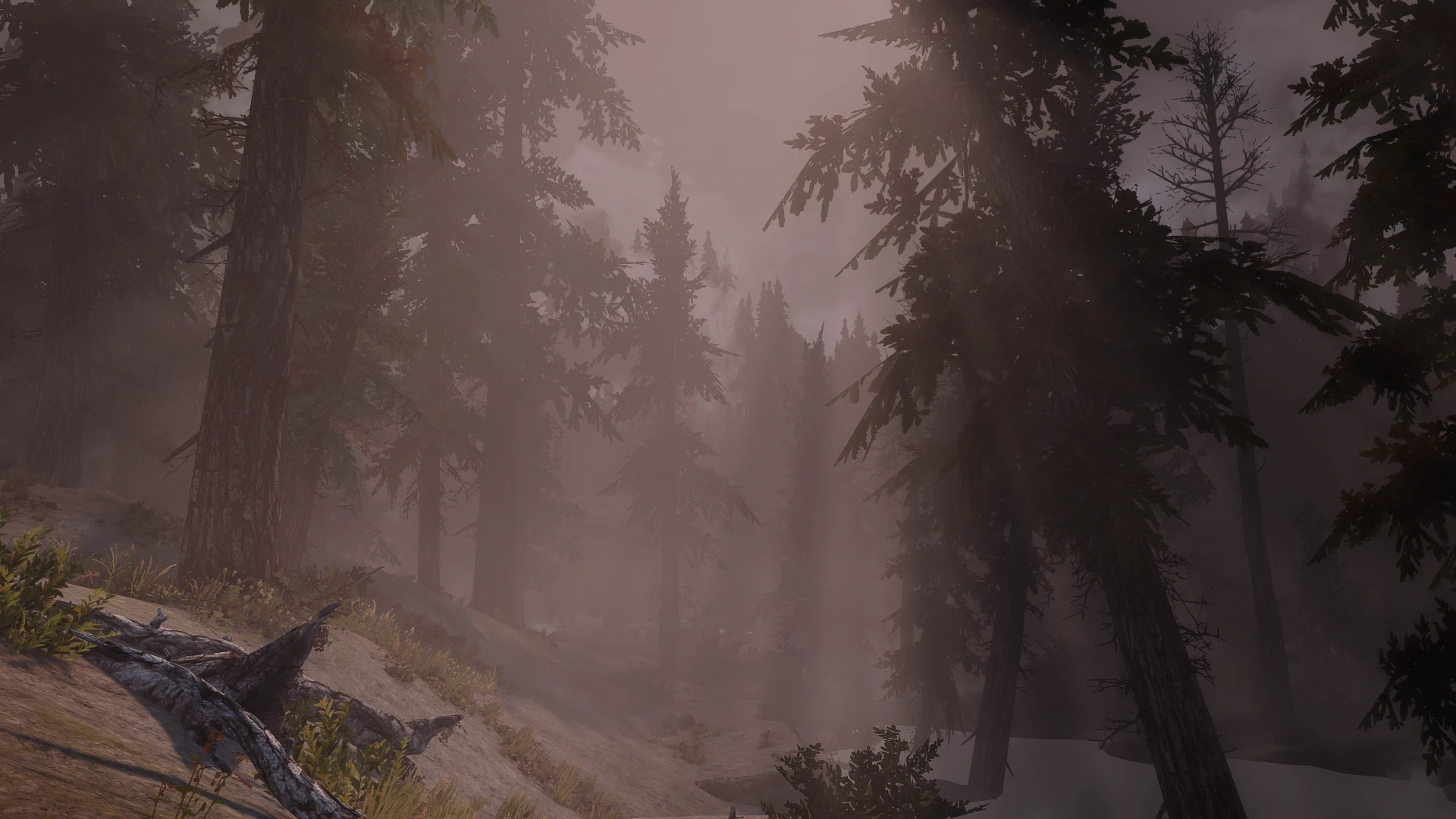 Natural View Tamriel Enb Obsidian Weathers At Skyrim Special