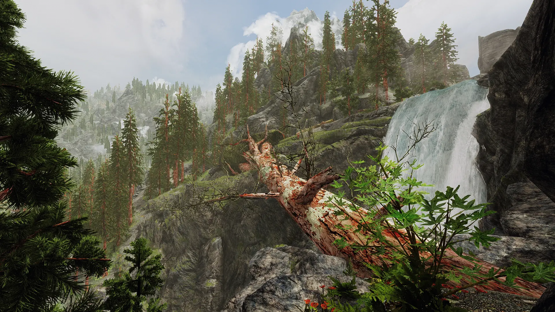 Fallen tree bridge at Skyrim Special Edition Nexus - Mods and Community