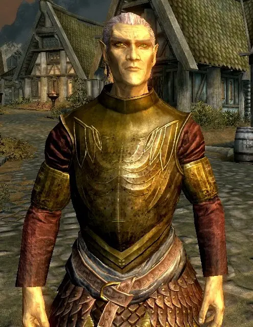 Elven Armor Rework WIP R Skyrimmods   130841248 1684043044 