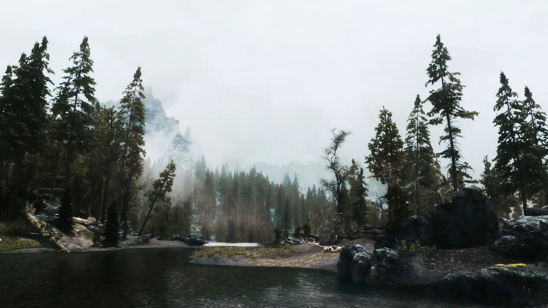 Nice lil Stream at Skyrim Special Edition Nexus - Mods and Community