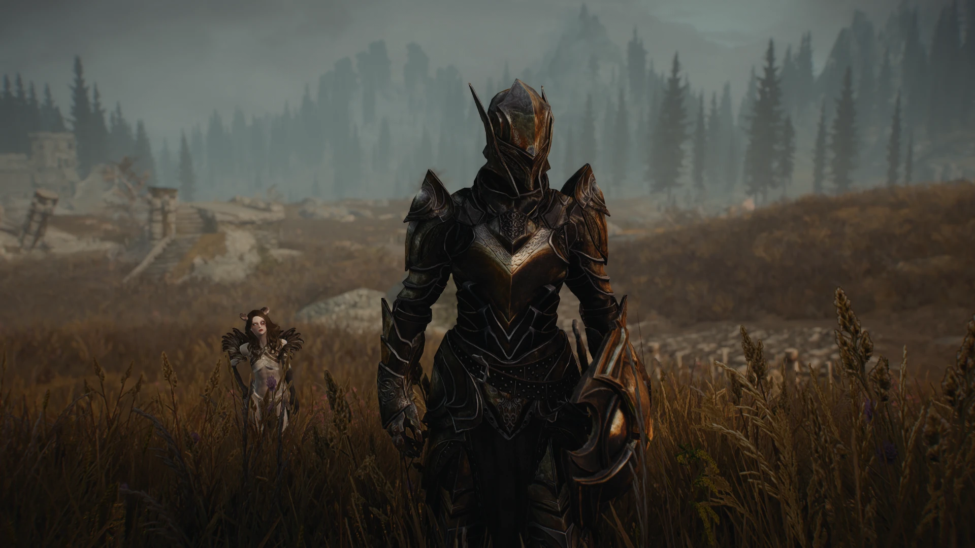 knight of falkreath at skyrim special edition nexus mods and community.